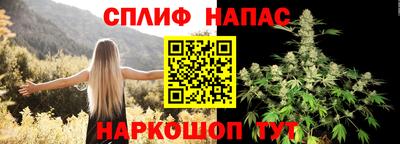 мяу мяу мука Будённовск